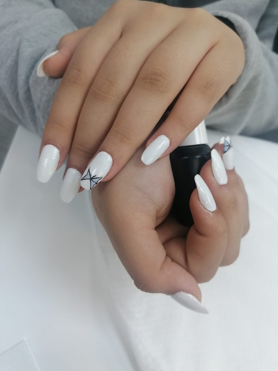 Posh Belle Beauty Ladies Salon