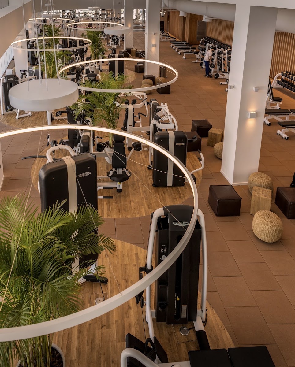 THE BRIDGE | Wellness Hub